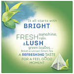 Lipton Πράσινο Τσάι Μέντα 20 Πυραμίδες