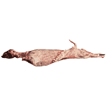 Κατσίκι Ελληνικό