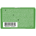 Trident Vibes Spearmint Box 21gr