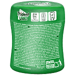 Trident Vibes Spearmint 70gr