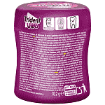 Trident Vibes Berry 70gr