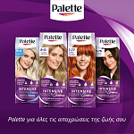 Palette Βαφή Μαλλιών Gold Ξανθό Πολύ Ανοιχτό Χρυσό 9.50
