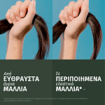 Herbal Σαμπουάν Argan Oil 350ml