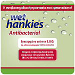 Wet Hankies Υγρά Μαντηλάκια Green Apple 4x15