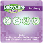 Babycare Family Raspberry Μωρομάντηλα 90τεμ