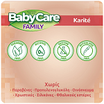Babycare Family Karite Μωρομάντηλα 90τεμ