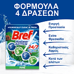 Bref WC Block Power Activ Θήκη Natura Pine 50gr