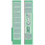 Babylino Premium Pants Junior No5 10-16kg 34τεμ