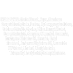 Axe Αποσμητικό Rollon Africa 50ml