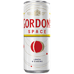 Gordon's Space Kουτί 250ml