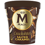 Magic Salted Caramel 311gr 440ml