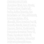 Axe Αποσμητικό Σώματος Stick Ice Chill 50ml