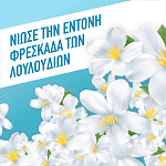 Ajax Fete Des Fleurs Υγρό Καθαρισμού 1lt 1+1Δώρο