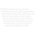 Axe Αποσμητικό Rollon Dark Temptation 50ml