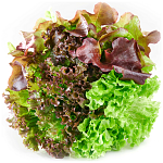 Σαλάτα Τριπλή Εγχώρια Σε Γλαστράκι