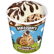 Ben & Jerry's Παγωτό Sundae Cookie 427ml 324gr
