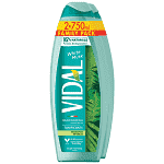 Vidal Shower Gel Wh Musk Family Pack 2x750ml