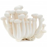 Μανιτάρια Shimeji Λευκά 150gr