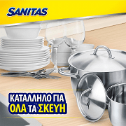 Sanitas Σφουγγαράκι Κουζίνας Αντιβακτηριδιακά (3+2 Δώρο)