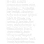 Axe Αποσμητικό Σώματος Africa 50ml