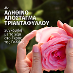 Herbal Essences Σαμπουάν Rose 350ml