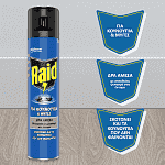 Raid Εντομοκτόνο Spray 300ml