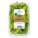 Άρωμα Πιπερίες Shishito 300gr