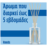 Glade Reeds Hot Chocolate 50ml