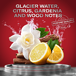 Old Spice Sport Power Αποσμητικό Σώματος Stick 50ml