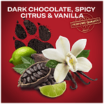 Old Spice Αποσμητικό Σώματος Night Panther Spray 150ml