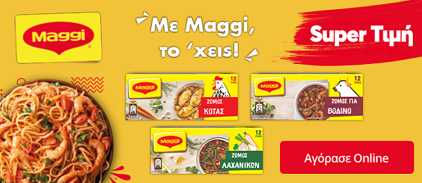 maggi pro 10.26 par2  (nestle) category banner