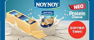 nounou pro 11.26 (friesland) category banner