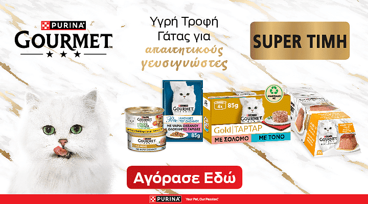 gourmet pro 08.25 (nestle) category banner