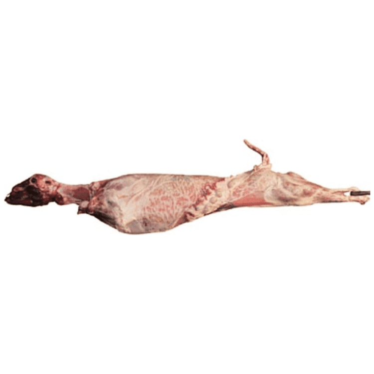 Κατσίκι Ελληνικό