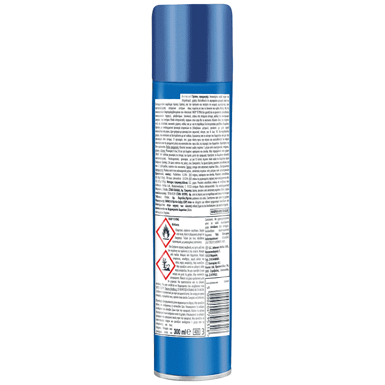 Raid Εντομοκτόνο Spray 300ml