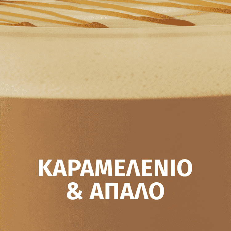 Starbucks Στιγμιαίος Καφές Caramel Latte 115gr