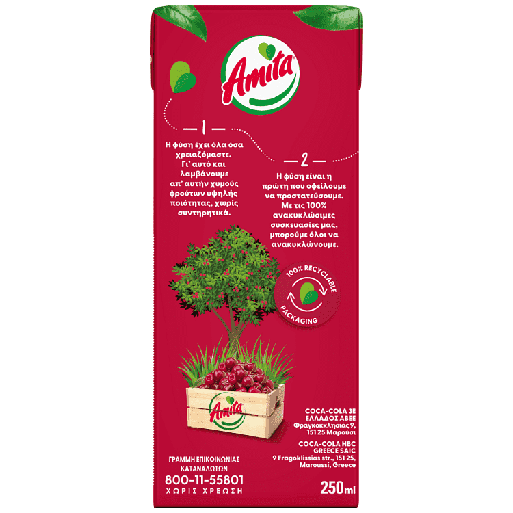 Amita Φρουτοποτό Βύσσινο 250ml 1τεμ