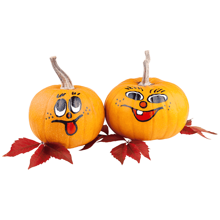 Κολοκύθες Halloween Εισαγωγής Τιμή Κιλού