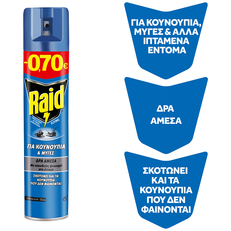 Raid Flying Εντμοκτόνο Σπρέυ 300ml -0,70€