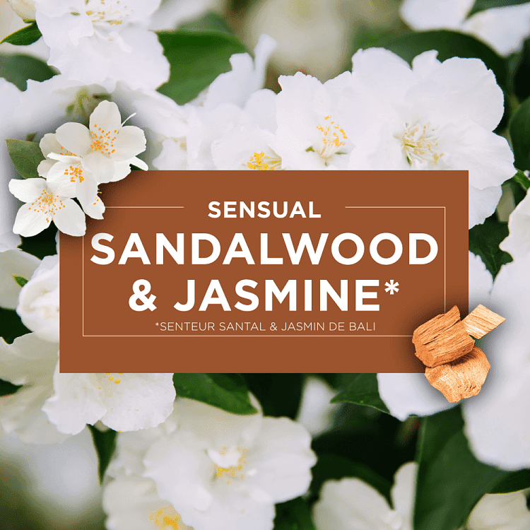 Glade Automatic Spray Bali Sandalwood & Jasmine Αποσμητικό Χώρου Σετ