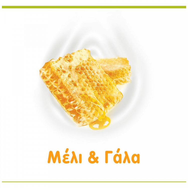 Palmolive Αφροντούς Μέλι & Γάλα 650ml
