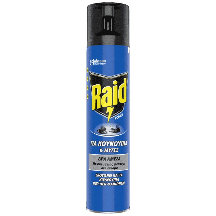 Raid Εντομοκτόνο Spray 300ml