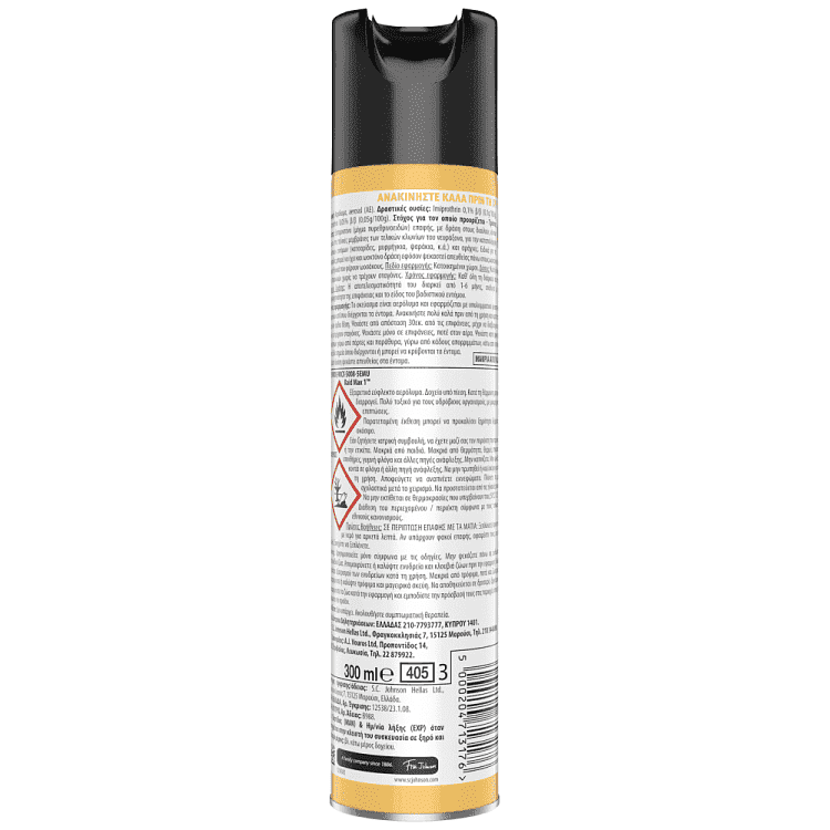 Raid Max Κατσαριδοκτόνο Spray 300ml