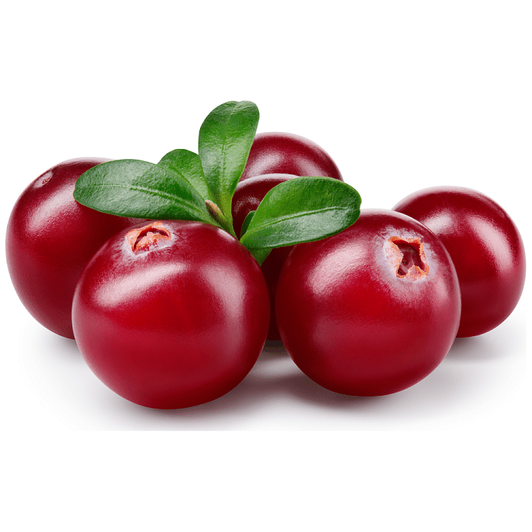 Κράνμπερι Nωπό Εισαγωγής 340gr