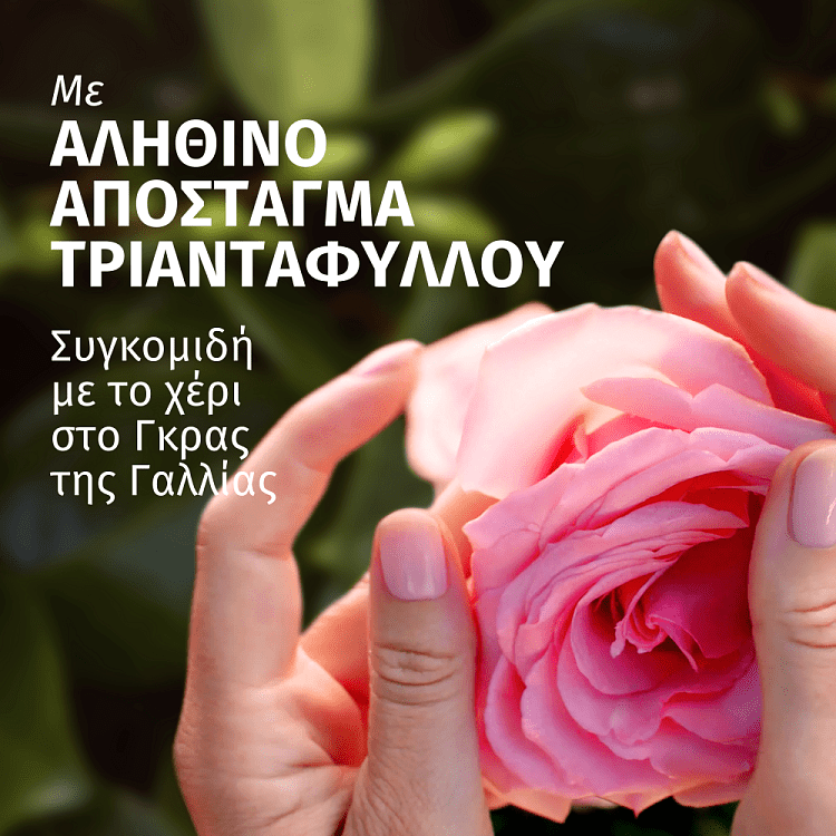 Herbal Essences Σαμπουάν Rose 350ml