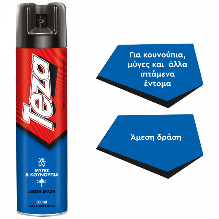 Teza Εντομοκτόνο Spray 300ml