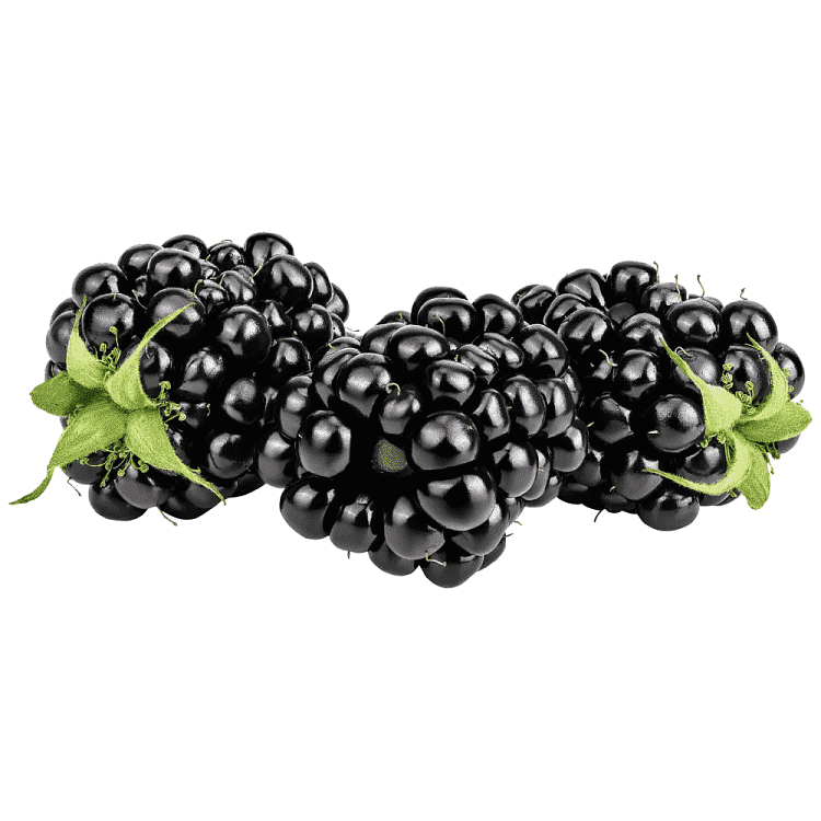 Βατόμουρα Συσκευασία 125gr