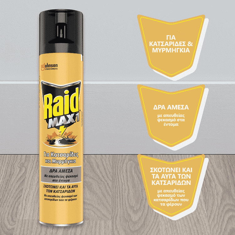 Raid Max Κατσαριδοκτόνο Spray 300ml