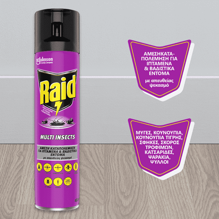 Raid Multi Insects Εντομοκτόνο Spray 400ml