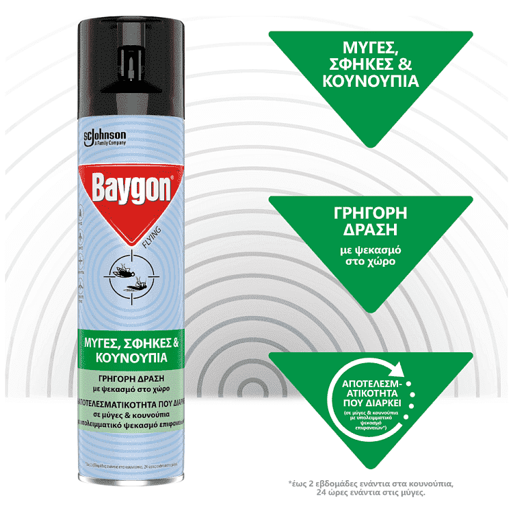 Baygon Flying Ιπτάμενα 300ml